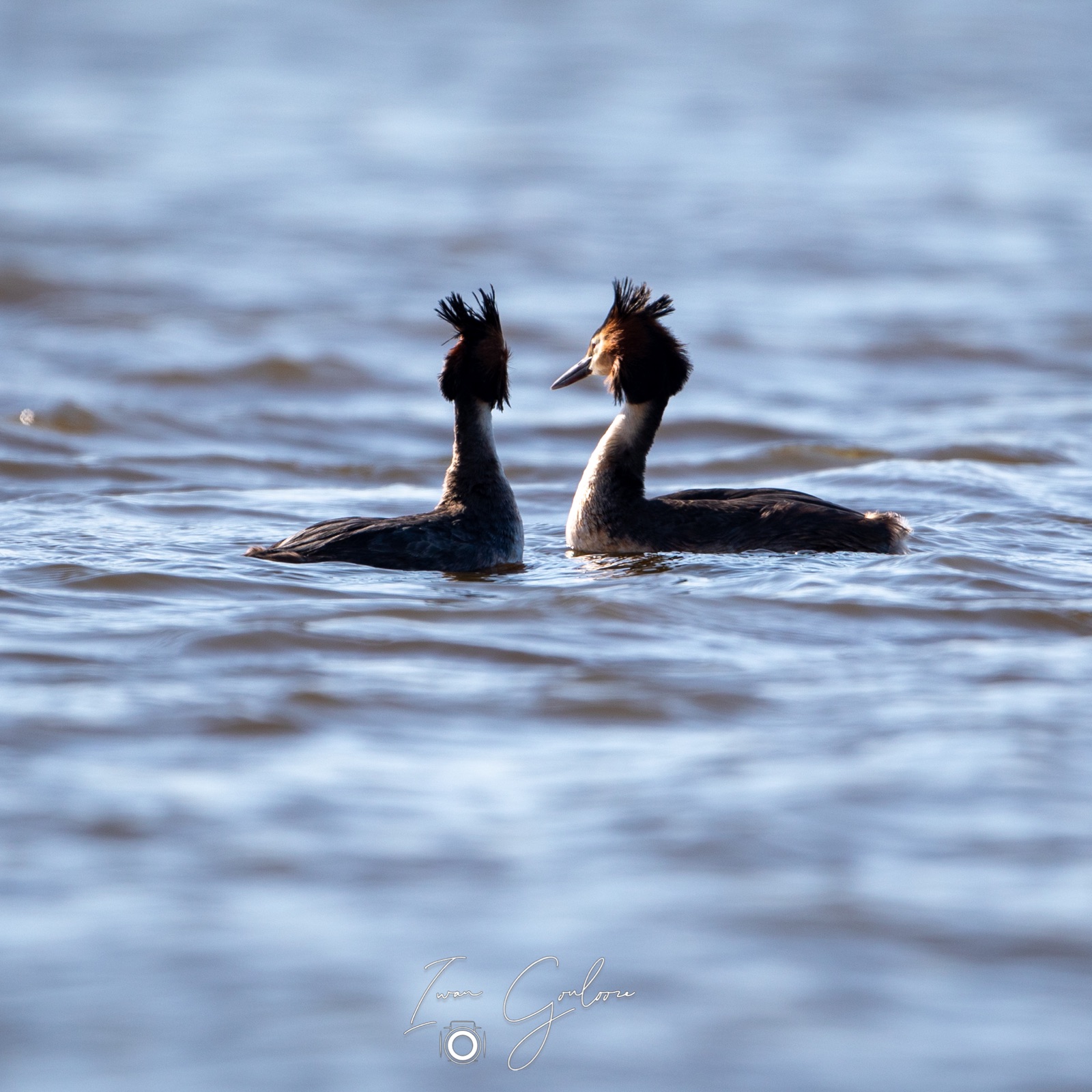 16 april 2022 171605  5D46247